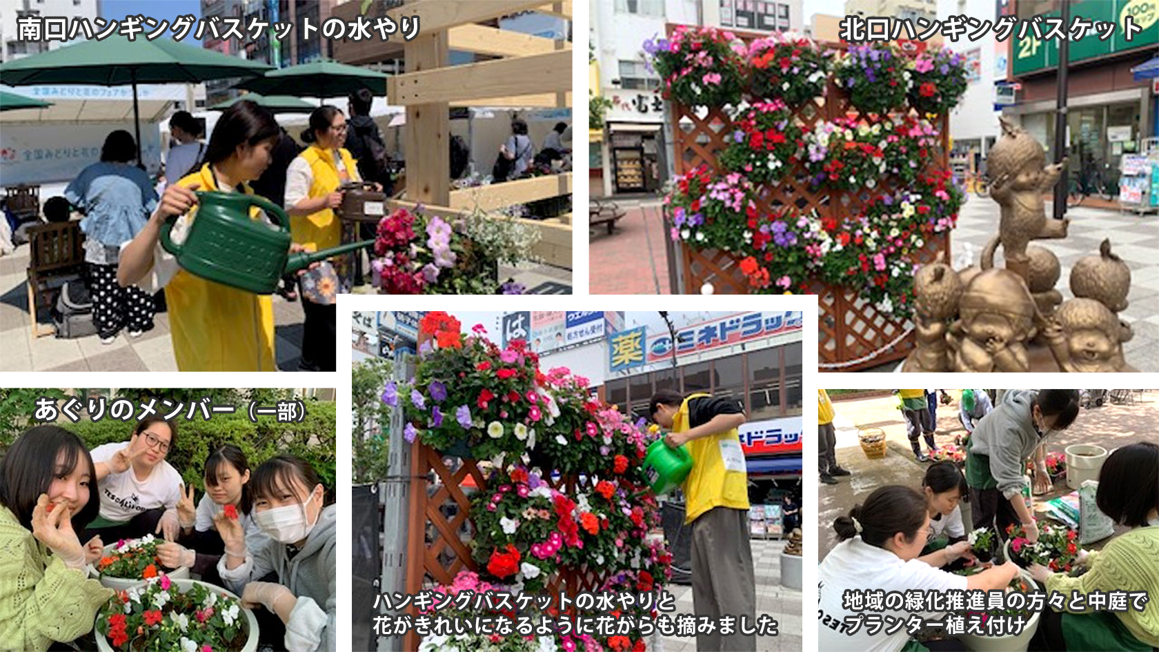 全国みどりと花のフェアかつしか