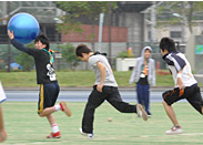 ビーチフラッグ(?)