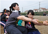 引け!引け!綱引き