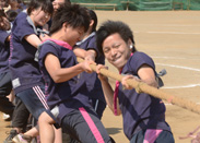 引け!引け!綱引き