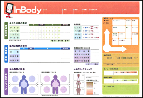 体組成測定結果表