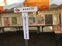 東京都食育フェア