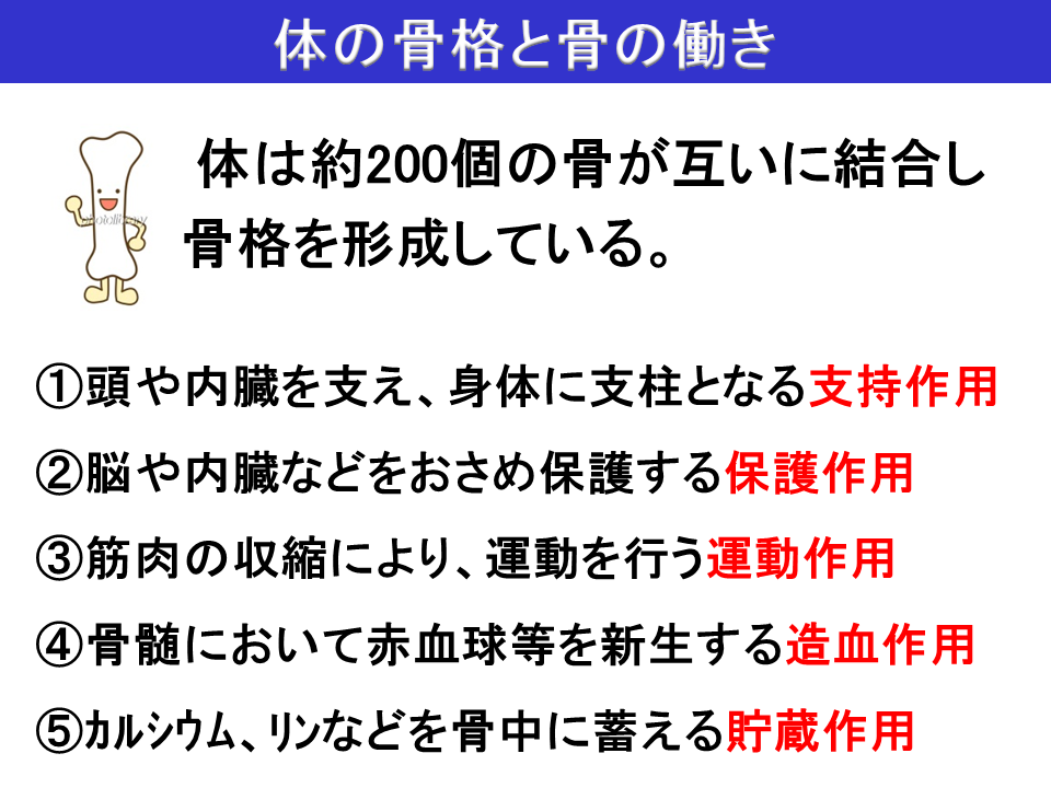 ミニ講座 説明資料