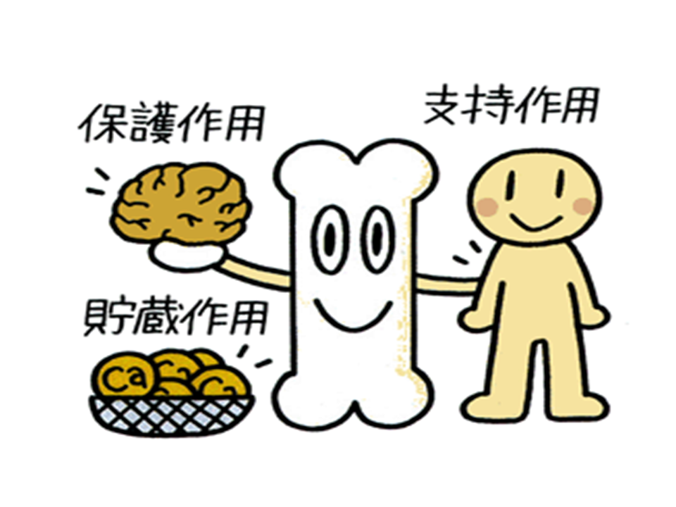 ミニ講座 説明資料