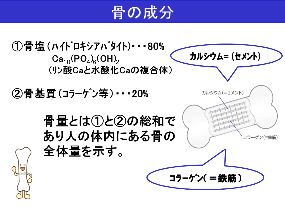 ミニ講座 説明資料