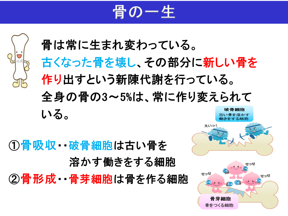 ミニ講座 説明資料