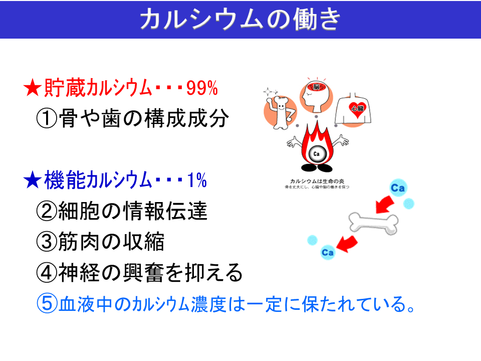 ミニ講座 説明資料