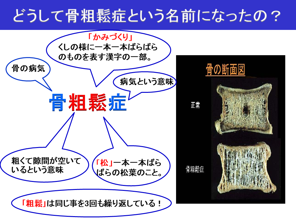 ミニ講座 説明資料