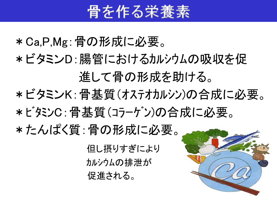 ミニ講座 説明資料