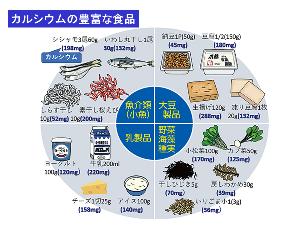 ミニ講座 説明資料