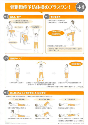 配布資料